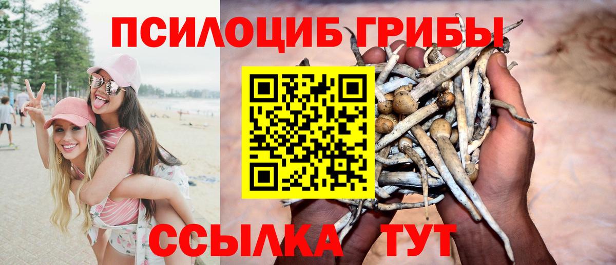 Галлюциногенные грибы GOLDEN TEACHER Россия