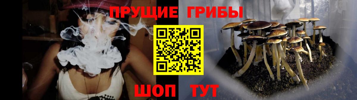 цена наркотик  Вход с VPN  Россия  Галлюциногенные грибы Psilocybe 